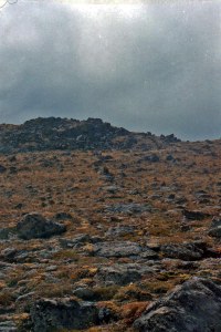 Looking up wall from the kill area. 