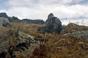 Upright of wall stone still has support stone in place. The stone supported a stick with buckskin on the top.