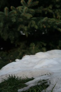 Snow storm collided with dust storm over AZ & NM