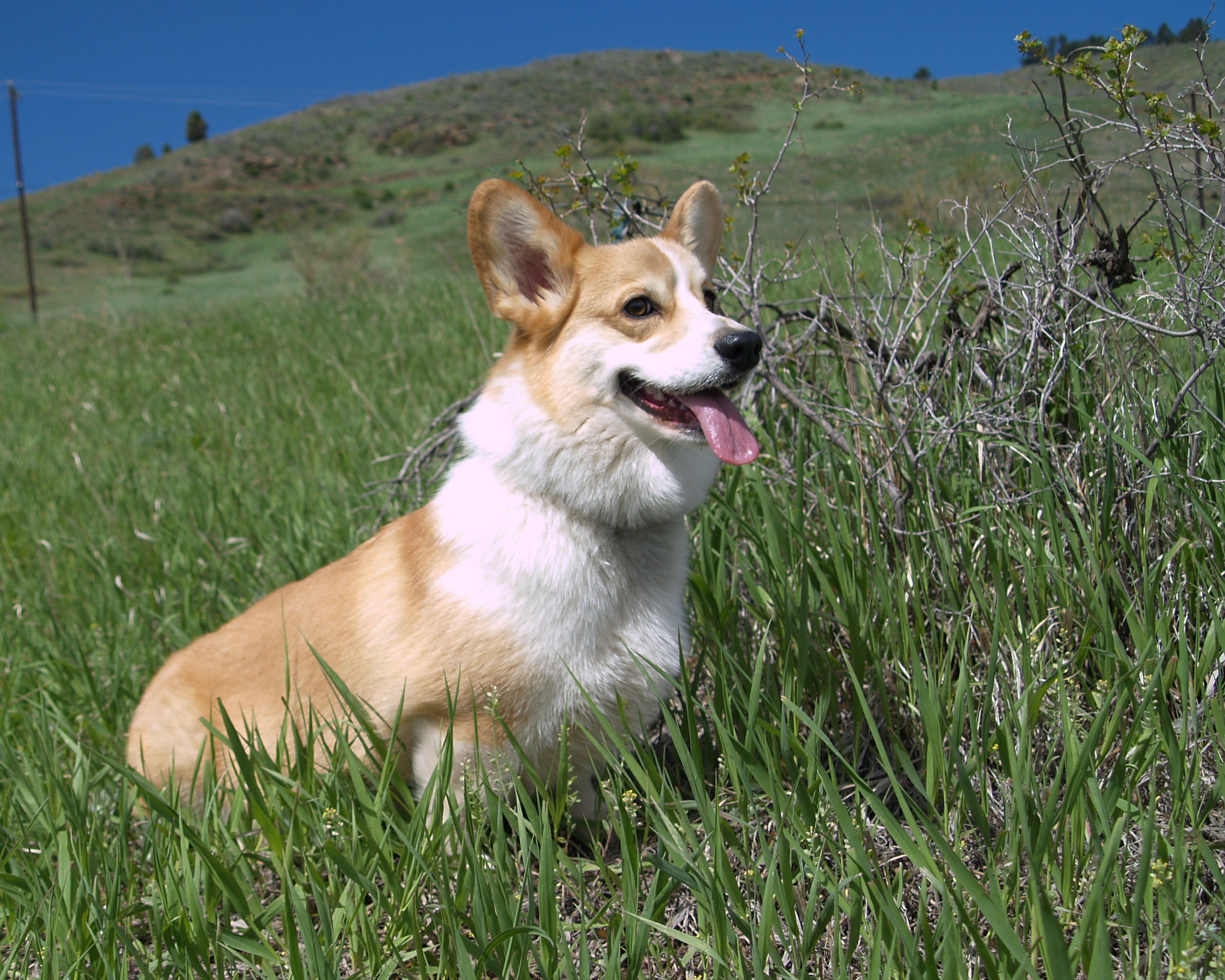 Darwin on Apex-4_edited-1