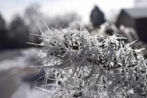 The ice caught the sunlight for a few minutes before it warmed enough to melt.