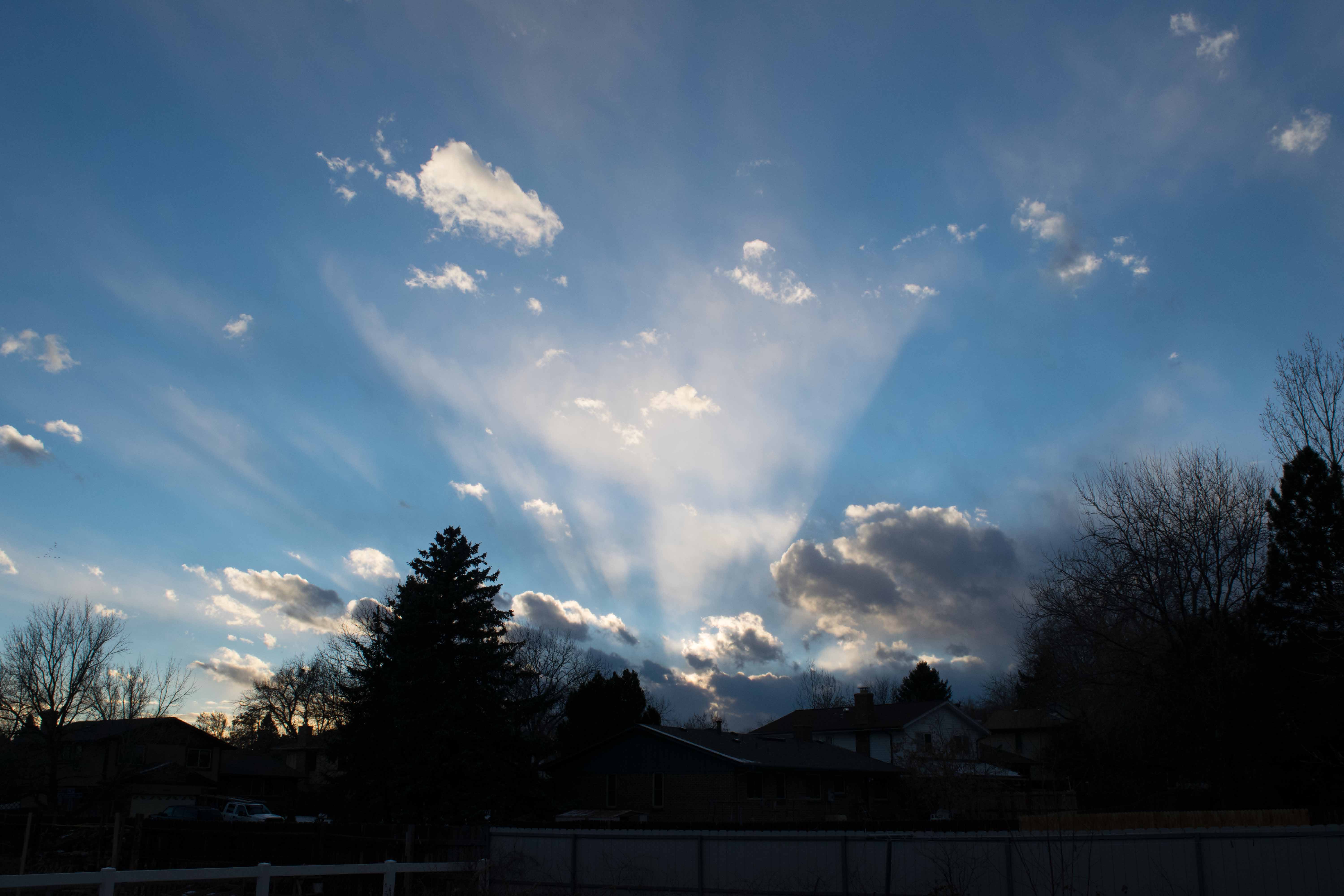 Evening Glories 2.jpg