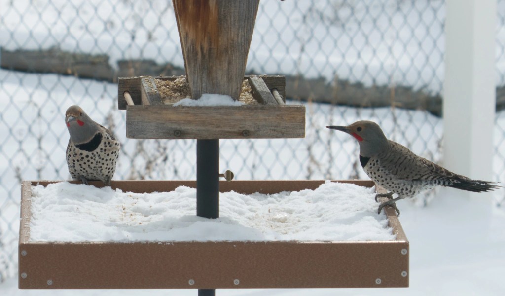 Doin’ the Wicka Dance