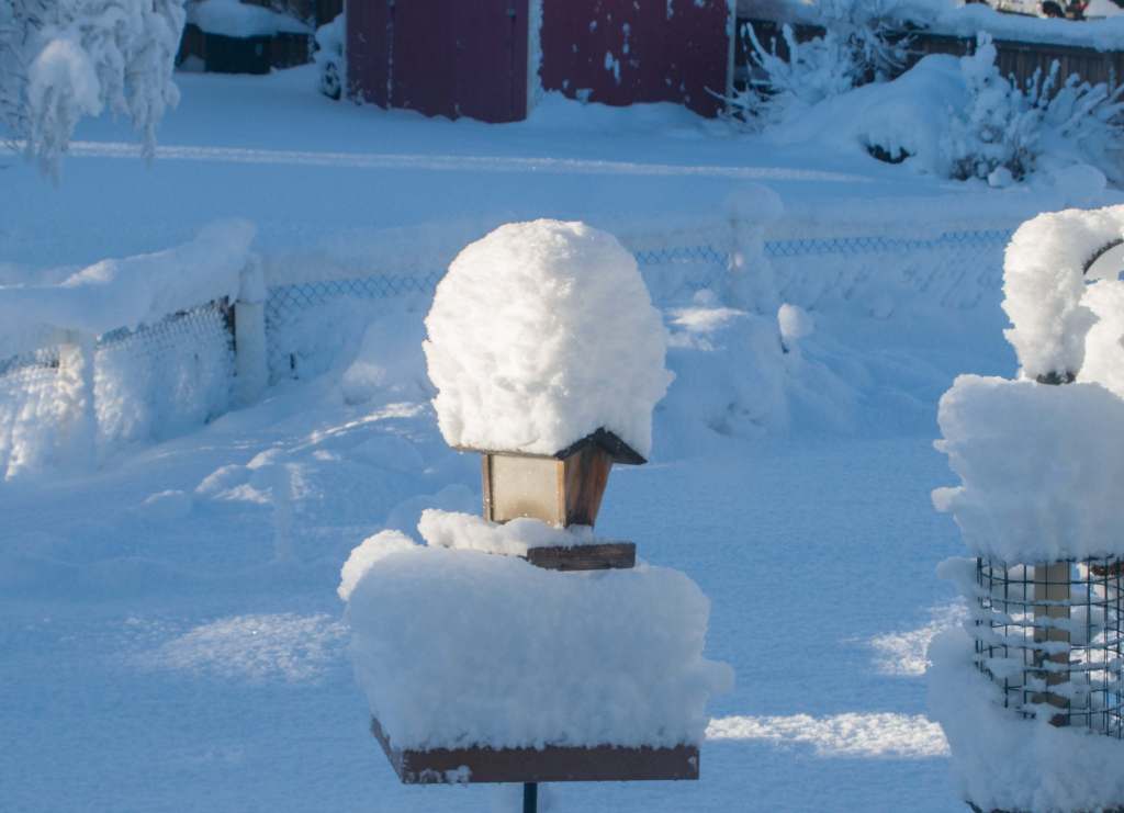 Forecast was for an inch, soon to melt&nbsp;off