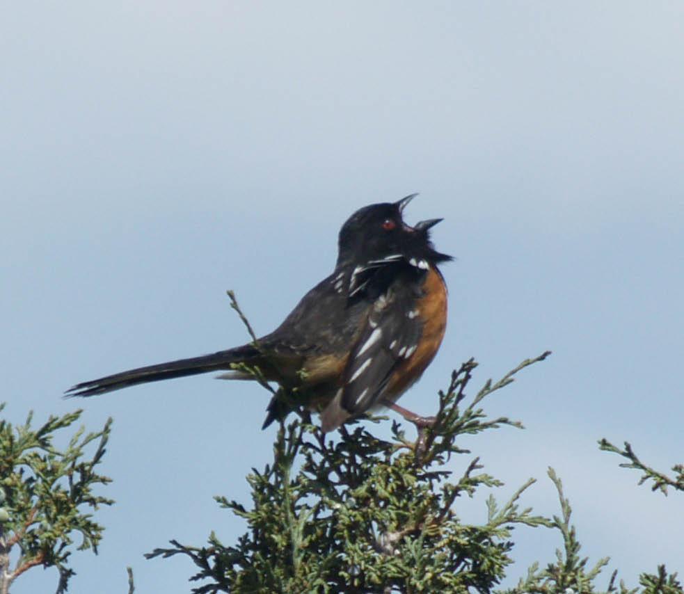 Happy Nature Photography Week!