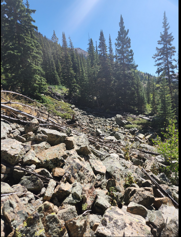 Broken granite rocks make up the main site. Spruce and fir trees surround the site.