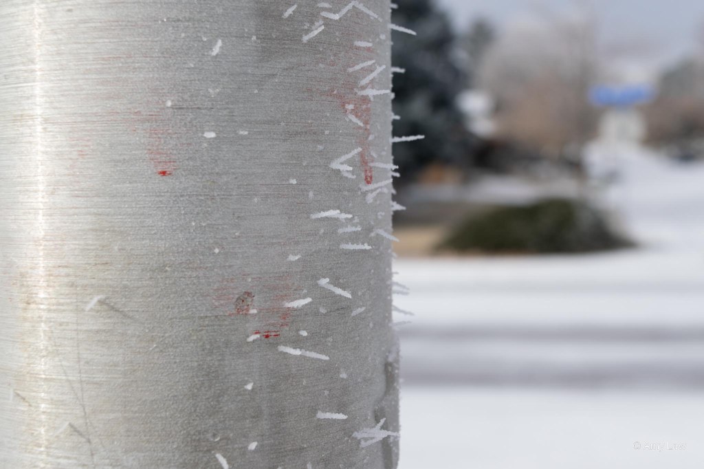 Ice crystals grew on a light post.
