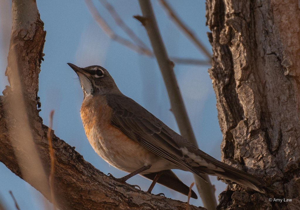 It’s Beginning to Feel A Lot Like&nbsp;Spring!
