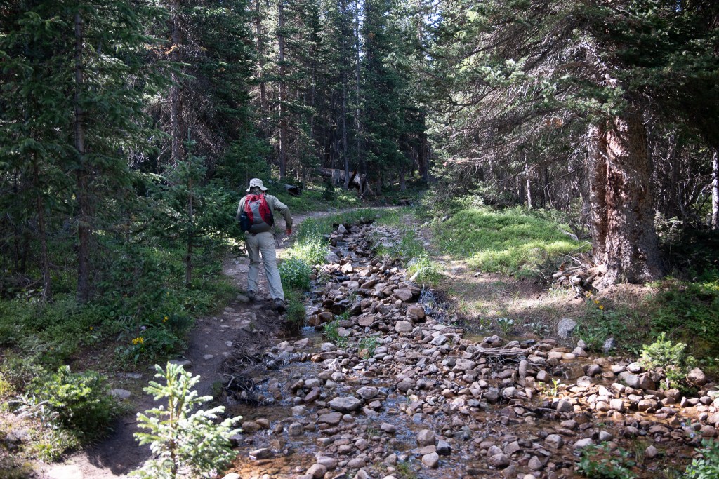 A man walks up a rocky trail with water flowing over the center of it through dense spruce-fir forest.