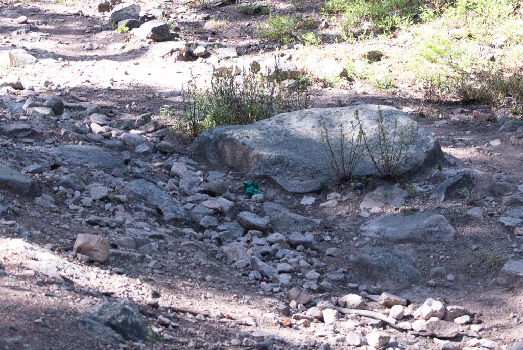 A rocky trail with a poop bag sitting in the middle of it.