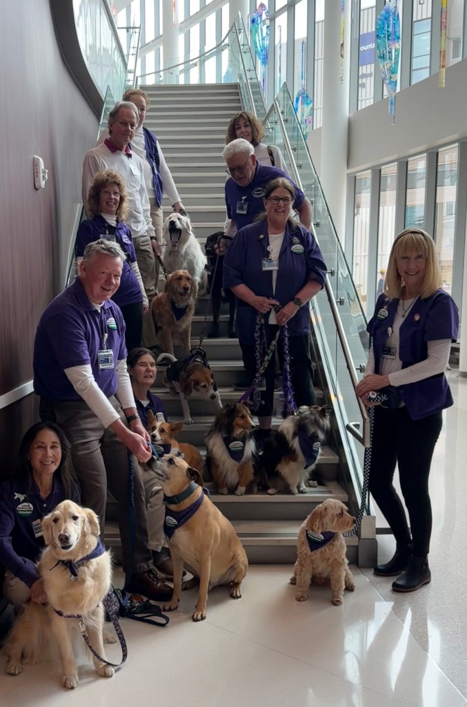 Ten people in purple uniform shirts and ten dogs stand on steps. Most are facing the camera, but some are looking elsewhere.