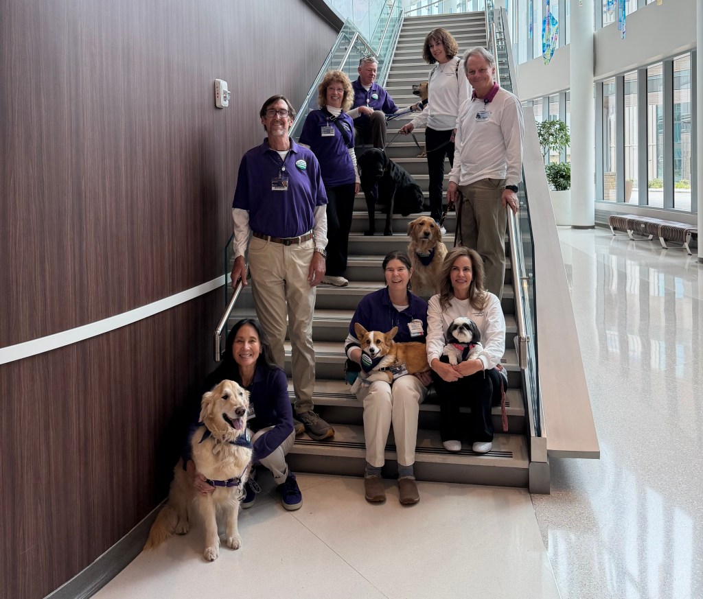 Same set of stairs in the hospital, this time with eight people and six dogs on the steps. All are looking at the camera.